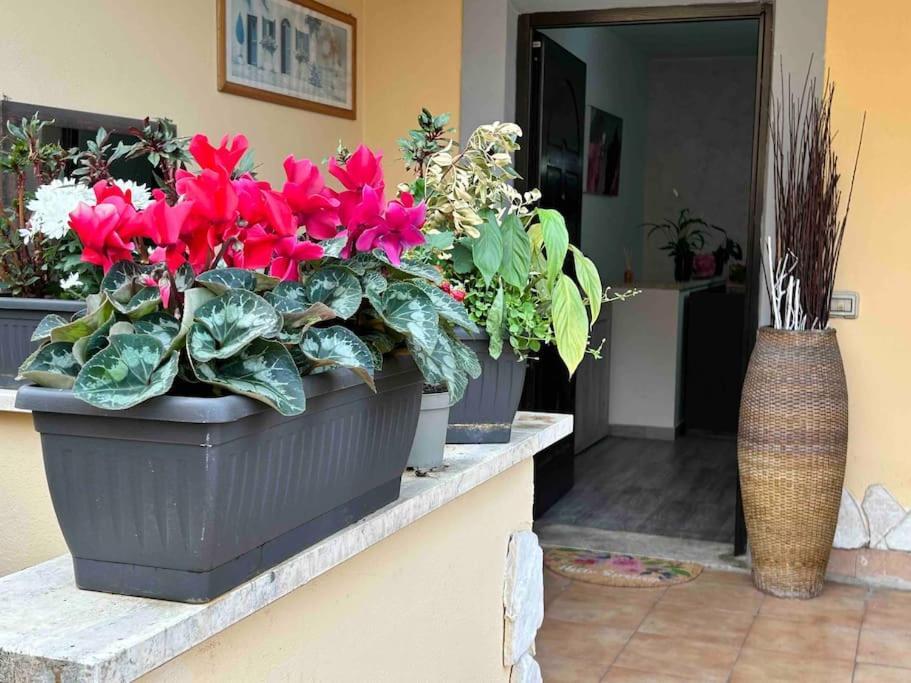 Apartamento Domus Acquedotto Roma Exterior foto